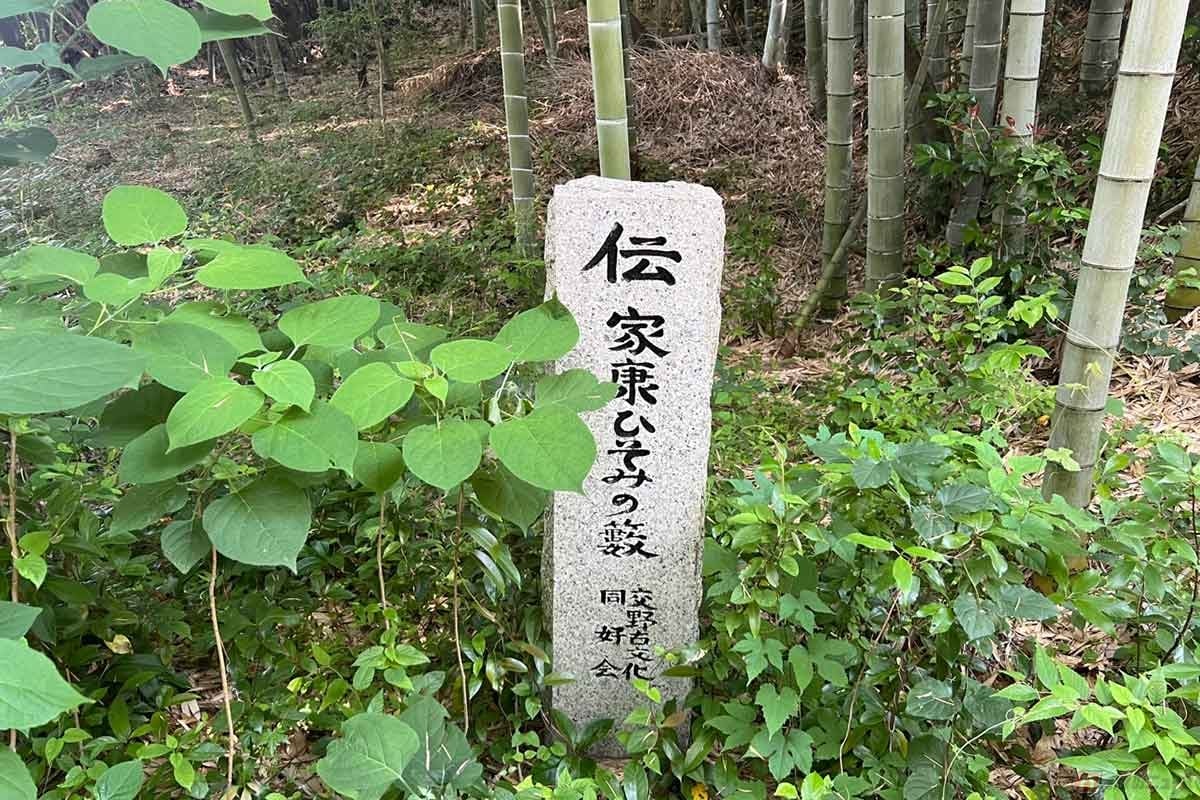 家康一行が身を潜めていたとされる竹やぶに建てられた石碑
