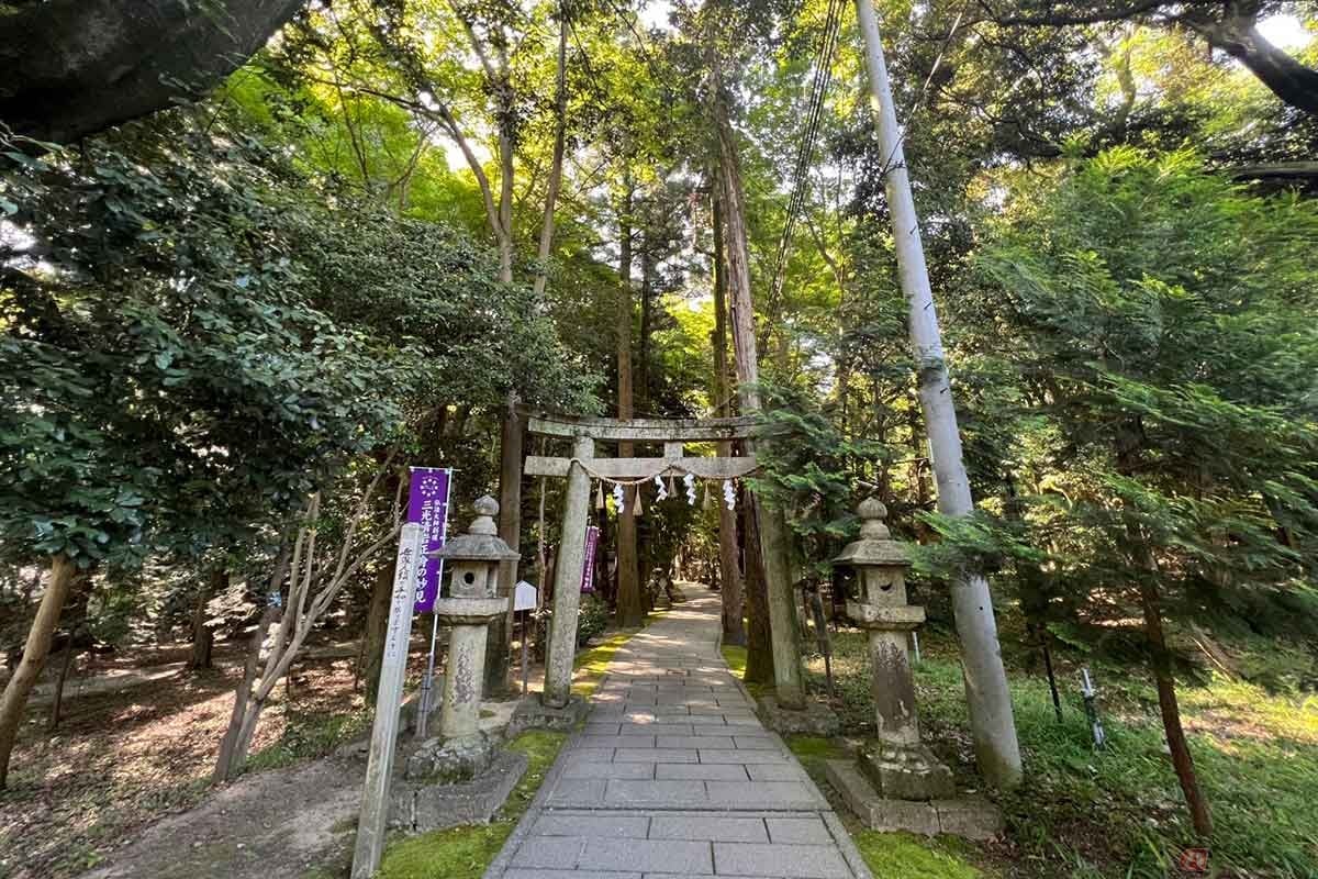 七夕伝説が残る大阪交野市にある「星田妙見宮」。偶然か必然か、大ピンチの家康は、この古のパワースポットで身を潜め、結果として岡崎への脱出に成功した