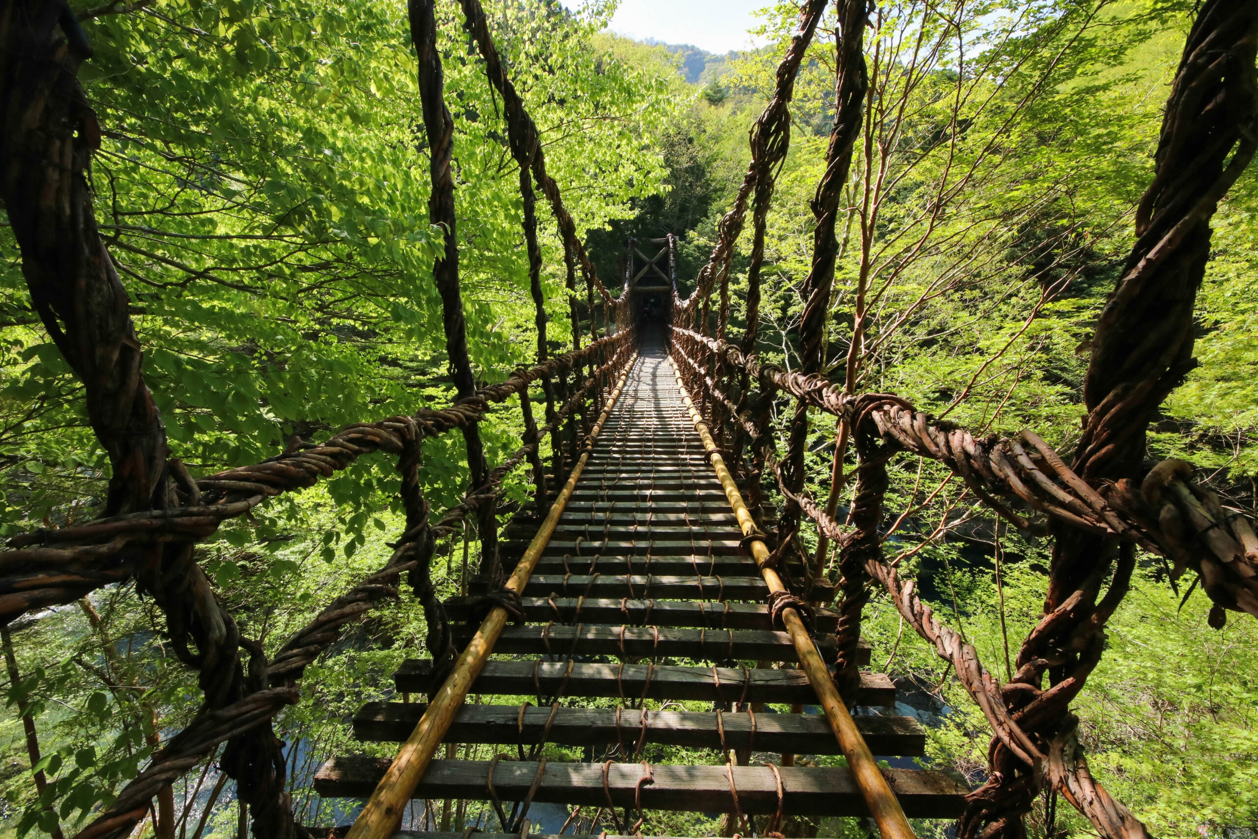 かずら橋（徳島県）