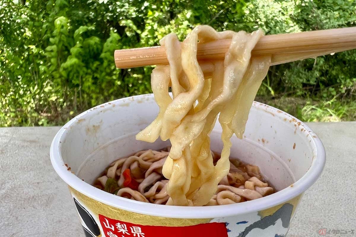 吉田のうどんを意識すると、麺のコシにはだいぶ物足りなさを感じるが、太麺タイプで食べ応えは十分