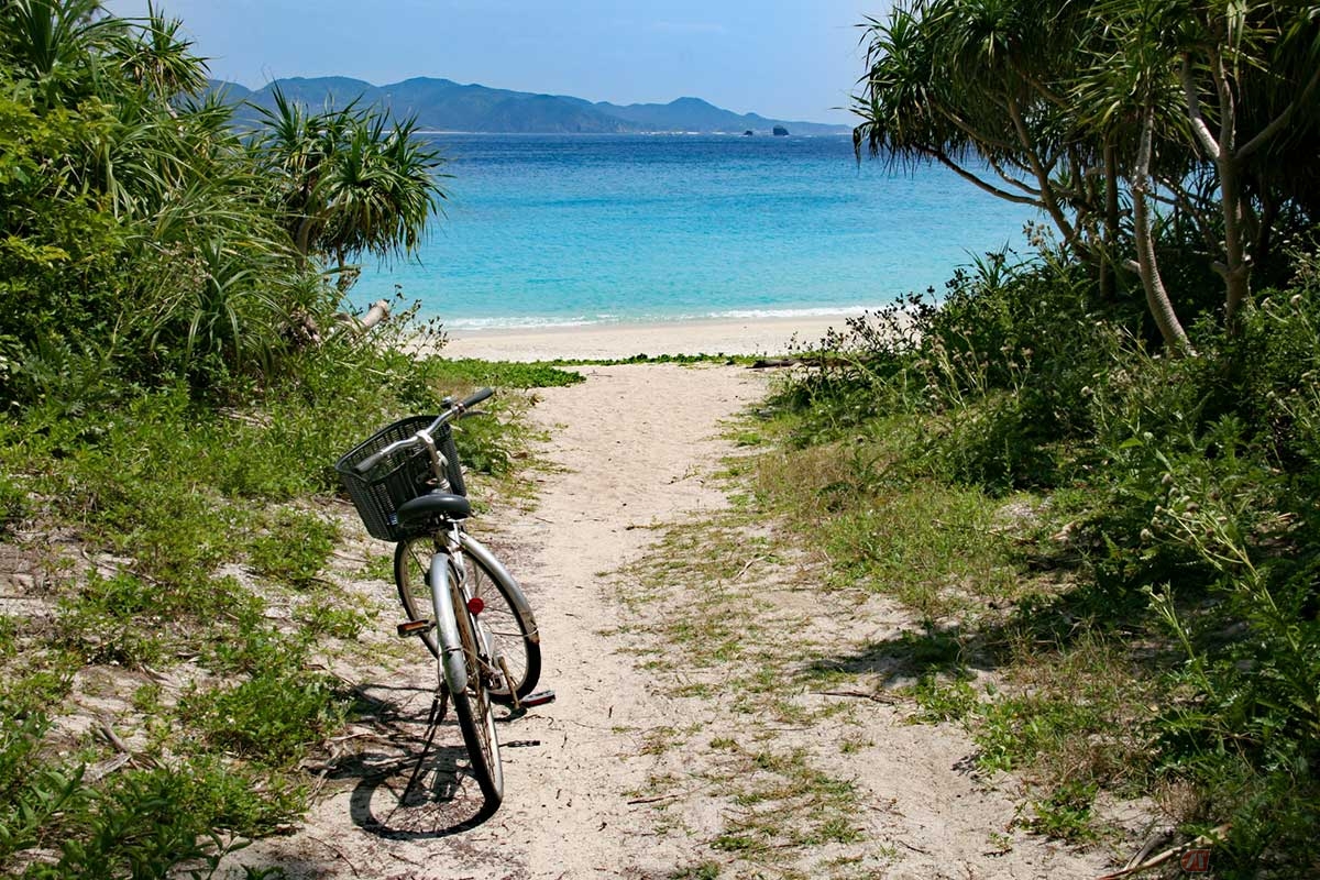 都道府県によって、自転車の使用環境には違いがある