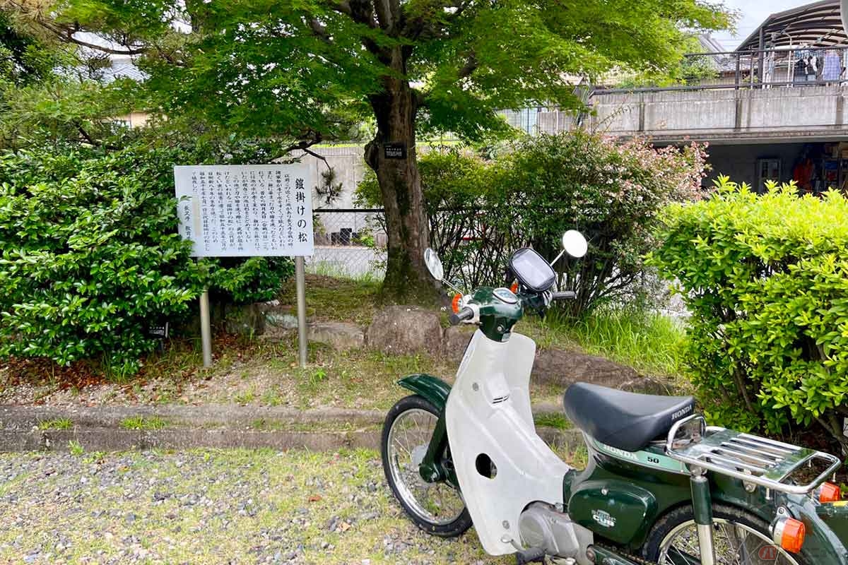 「古戦場公園」のすぐ近くにある「鎧掛けの松」。合戦の日（4月9日）、武将が松に鎧を掛けて刀や槍を近くの池で洗い、池の水が赤く染まったと言われるが、現在その池は形をとどめておらず、松の木は三代目とのこと