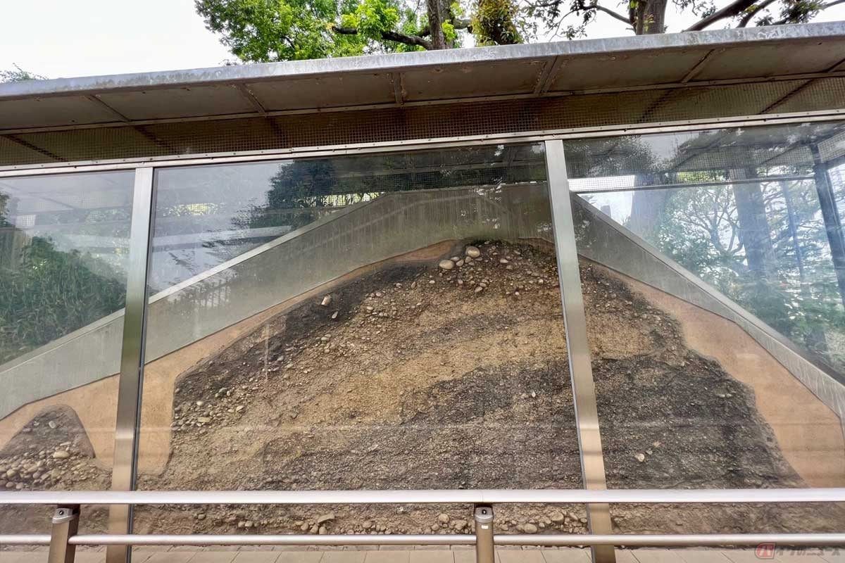入り口付近にある、5層の土塁断面土層。最古の信長時代の黒色土層、基盤を作った整地土層など5層の違いが明確に分かるので面白い。詳しい解説板も読むことができる