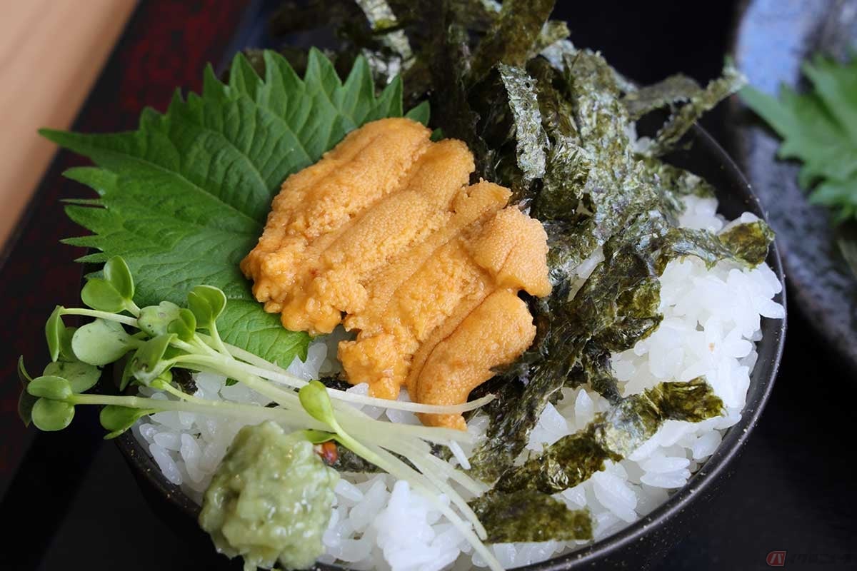 「女川魚市場食堂」の定食にプラスした「生うにのせごはん」。とろけるような美味しいうにだった
