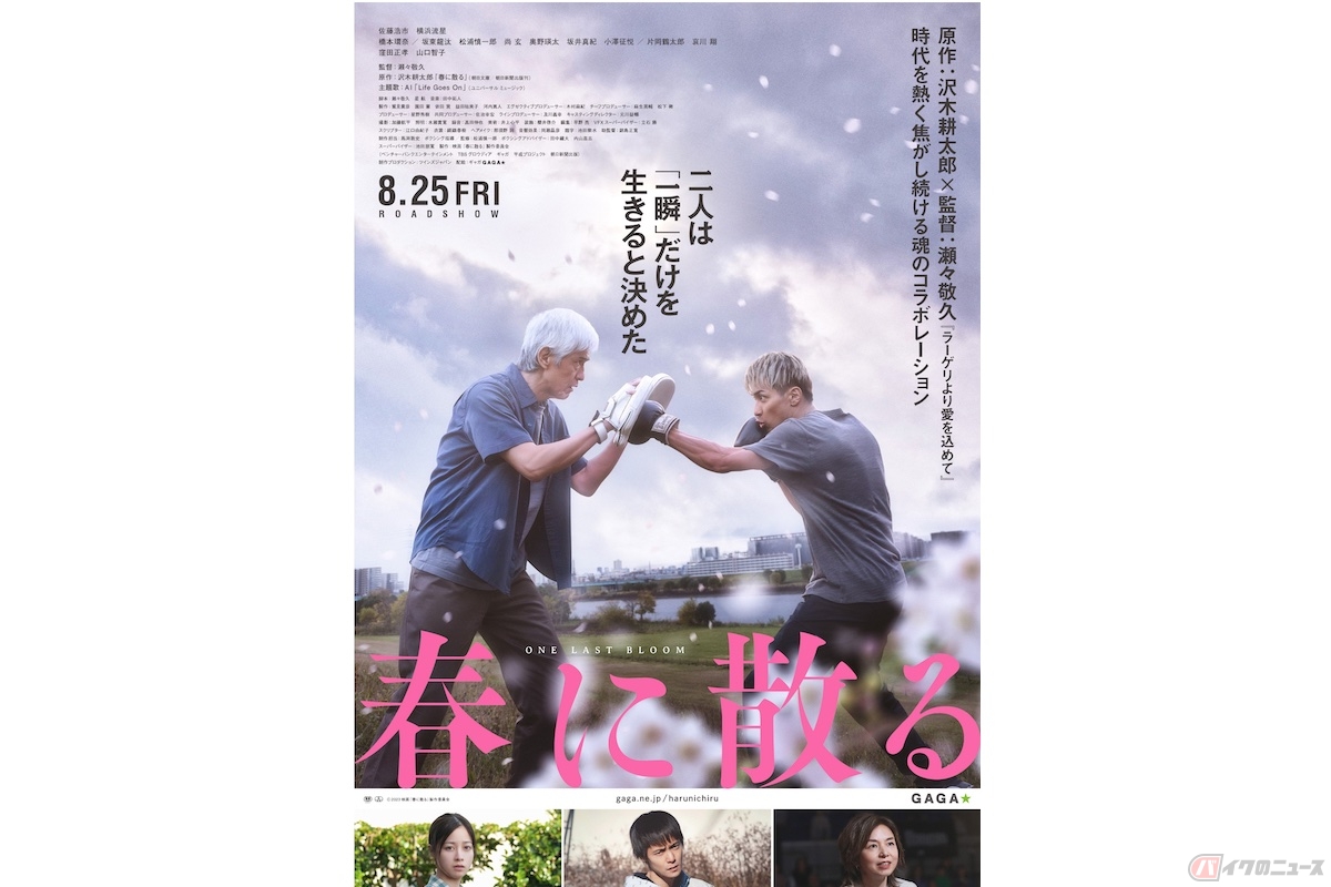 『春に散る』(c) 2023映画「春に散る」製作委員会