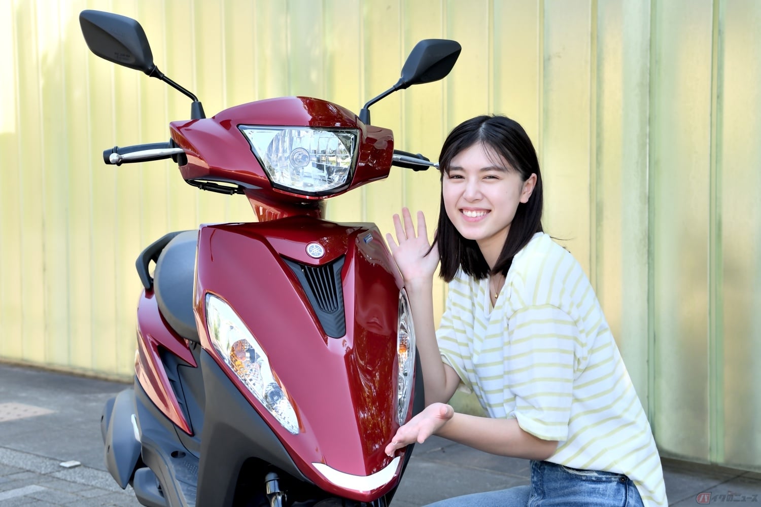 釣り上がったような目で「小さくても負けないぞ!」という強い意志が伝わってくるようなお顔立ち