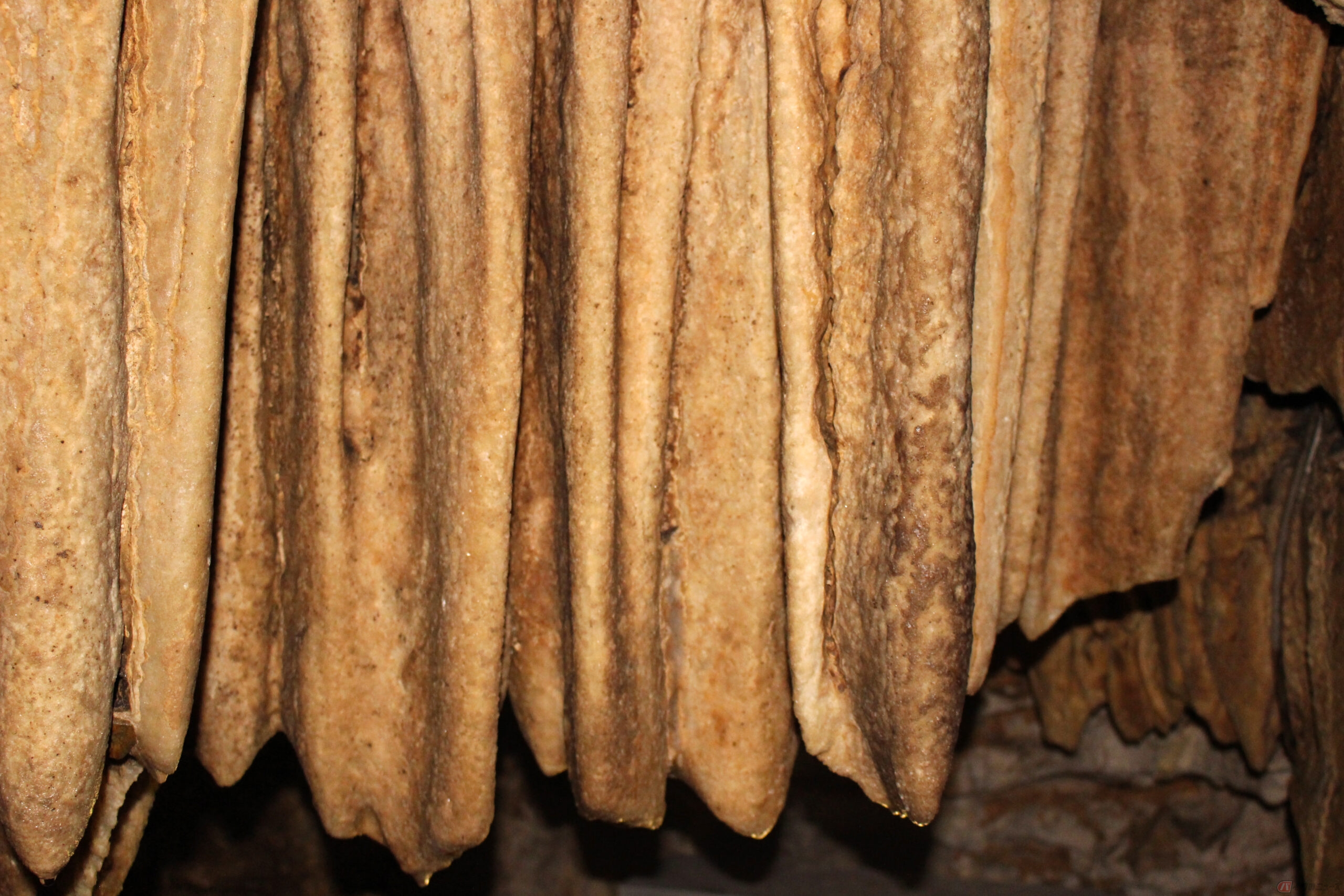 龍河洞(高知県)