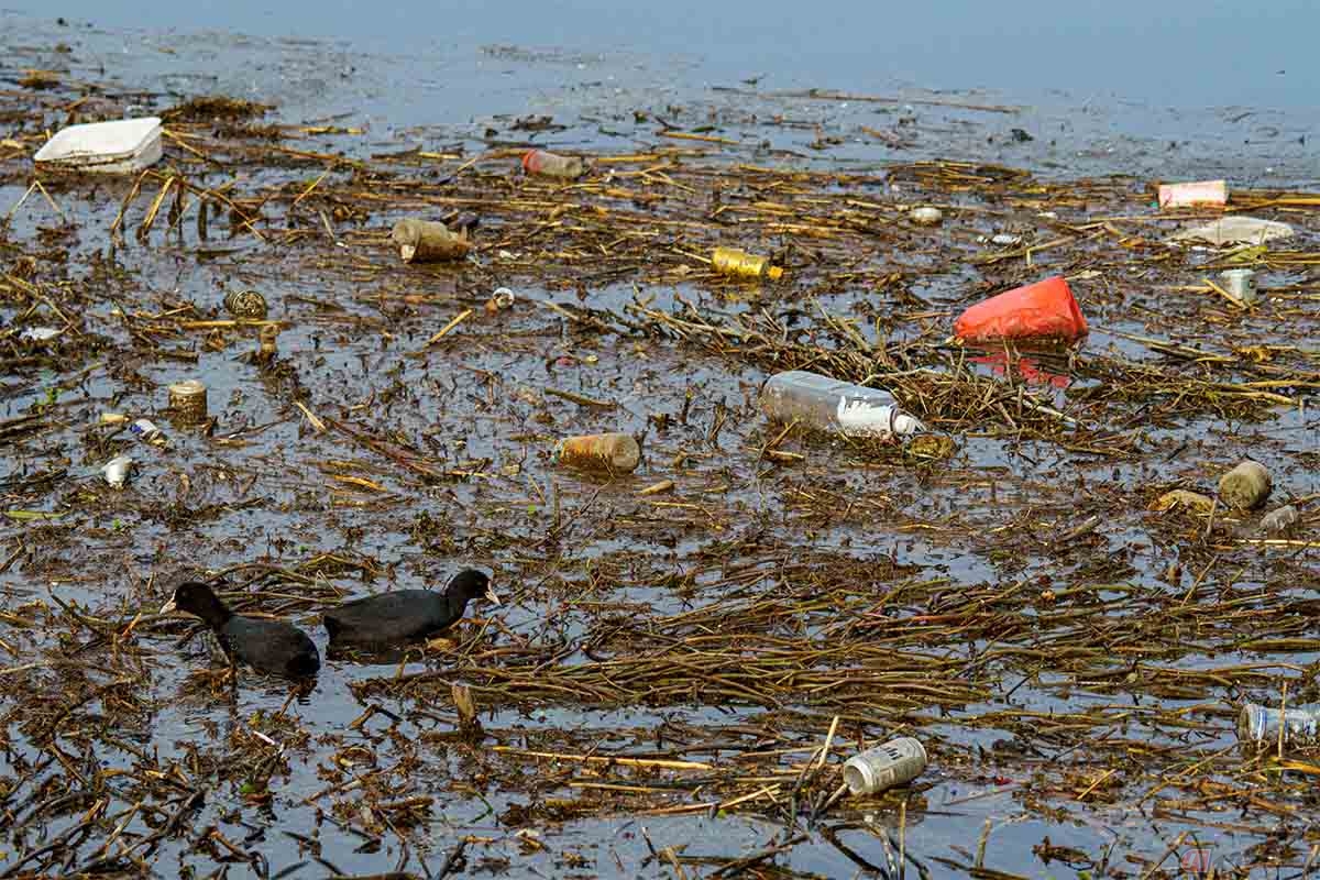 エンジンオイルの廃油を川に捨てると不法投棄