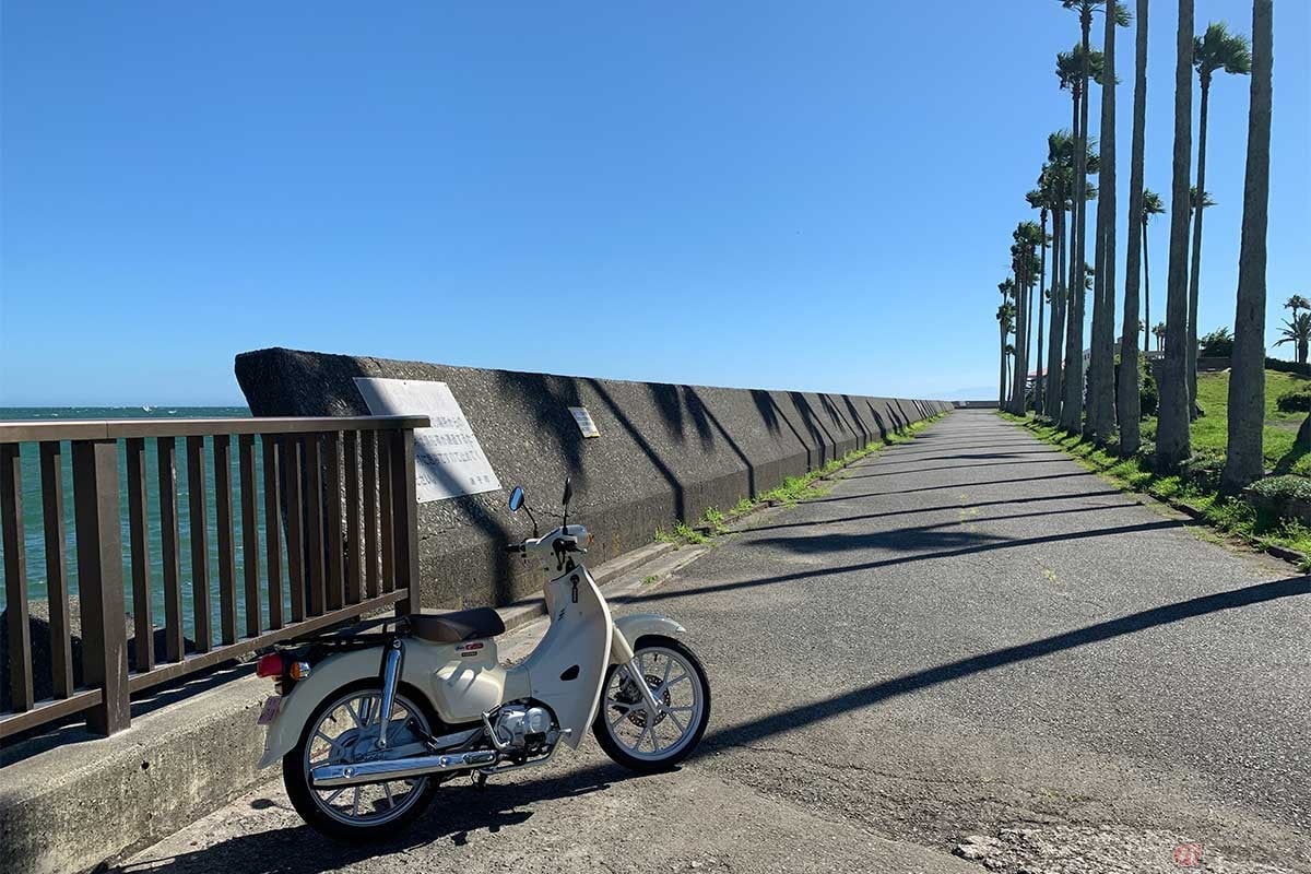 逗子市の小さな漁港、おしゃれなマリーナ付近までやってきた。道中の峠区間では燃費が降下