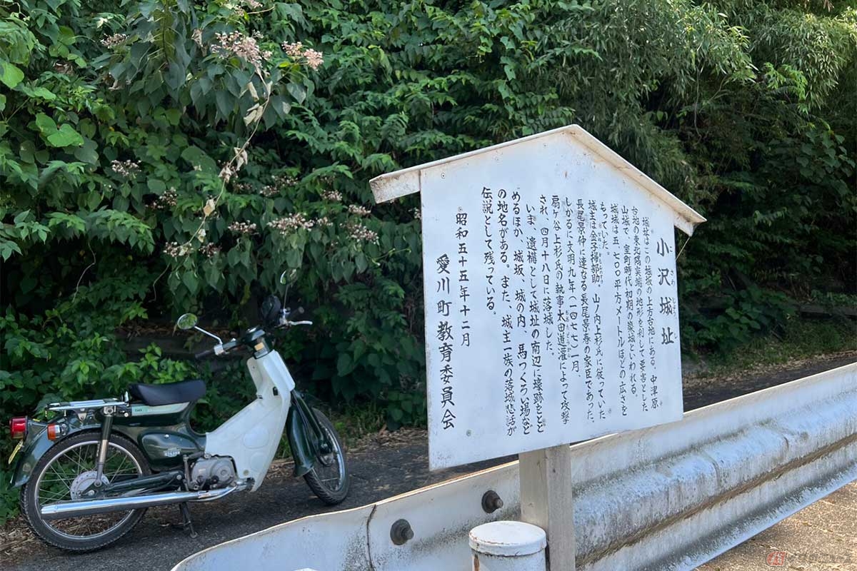 「小沢古城」から850mほど離れた場所に、金子掃部助により「小沢城」が築城された。1477年に太田道灌によって落城したと伝えられている