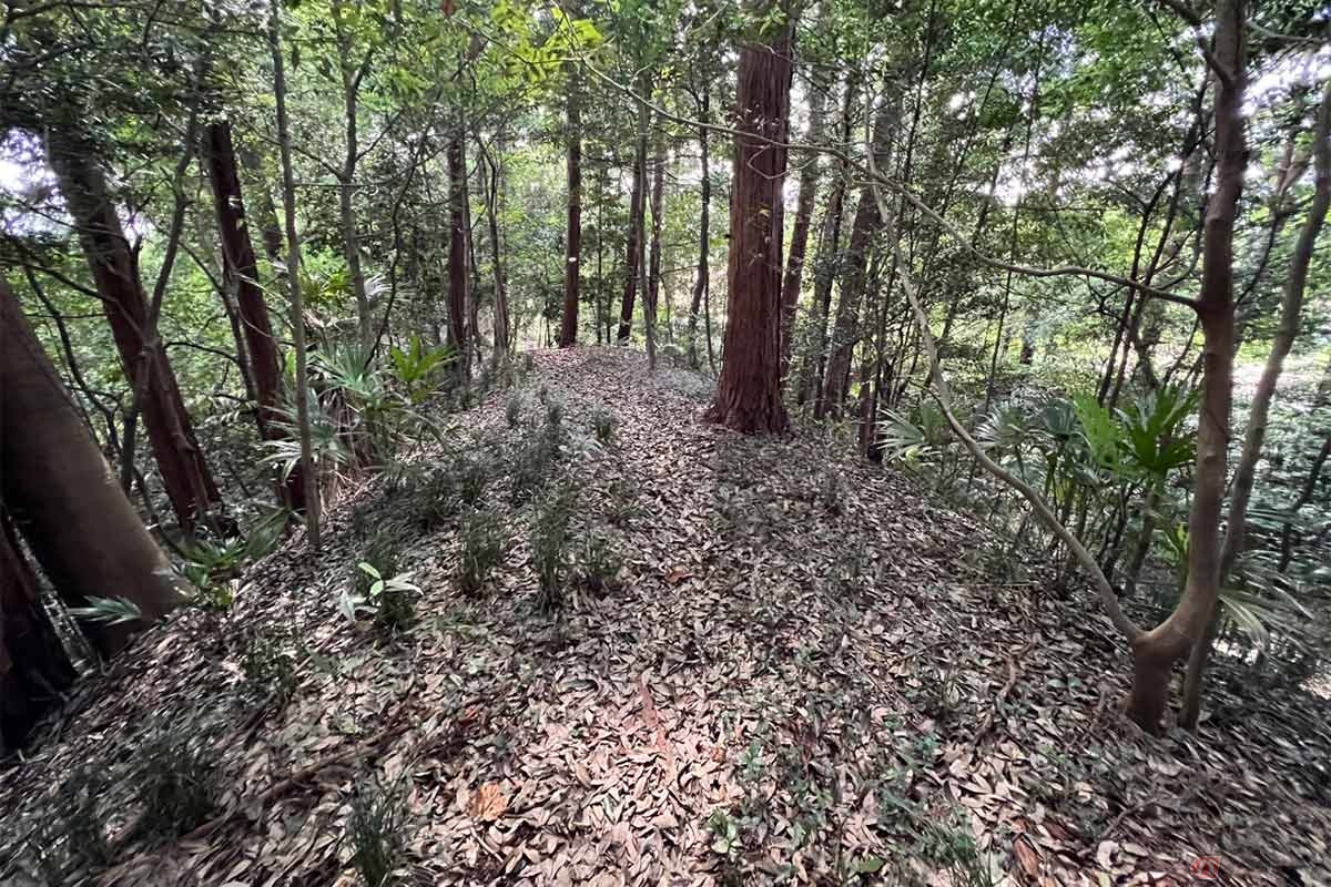堀の上は尾根状になっていて歩くことができた。狭山市のホームページの解説によると物見櫓的な施設として、当時の入間川宿を一望に見渡せていたようだ