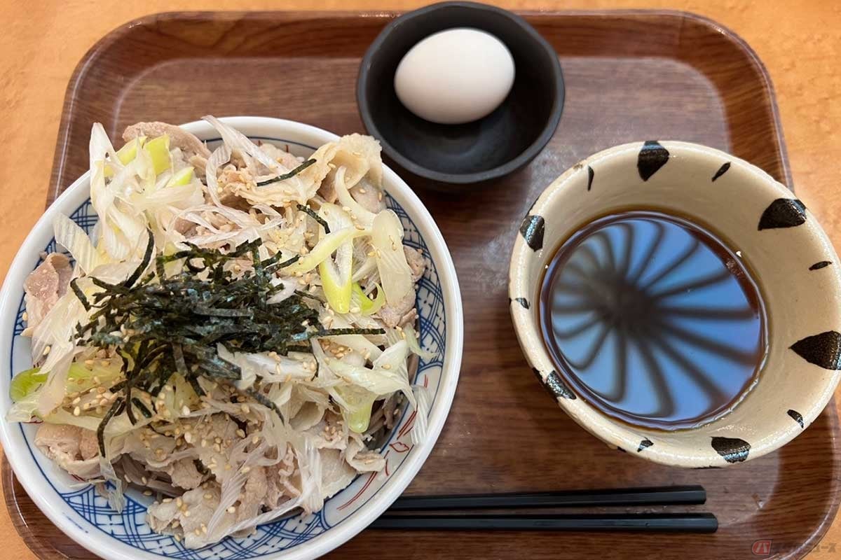 京葉道路「幕張PA」(上り)でいただく大盛の「豚つけそば」(979円)+生卵(55円)。豚肉とネギ、美味しさもさることながら、夏バテにも健康にも良さそうなメニュー