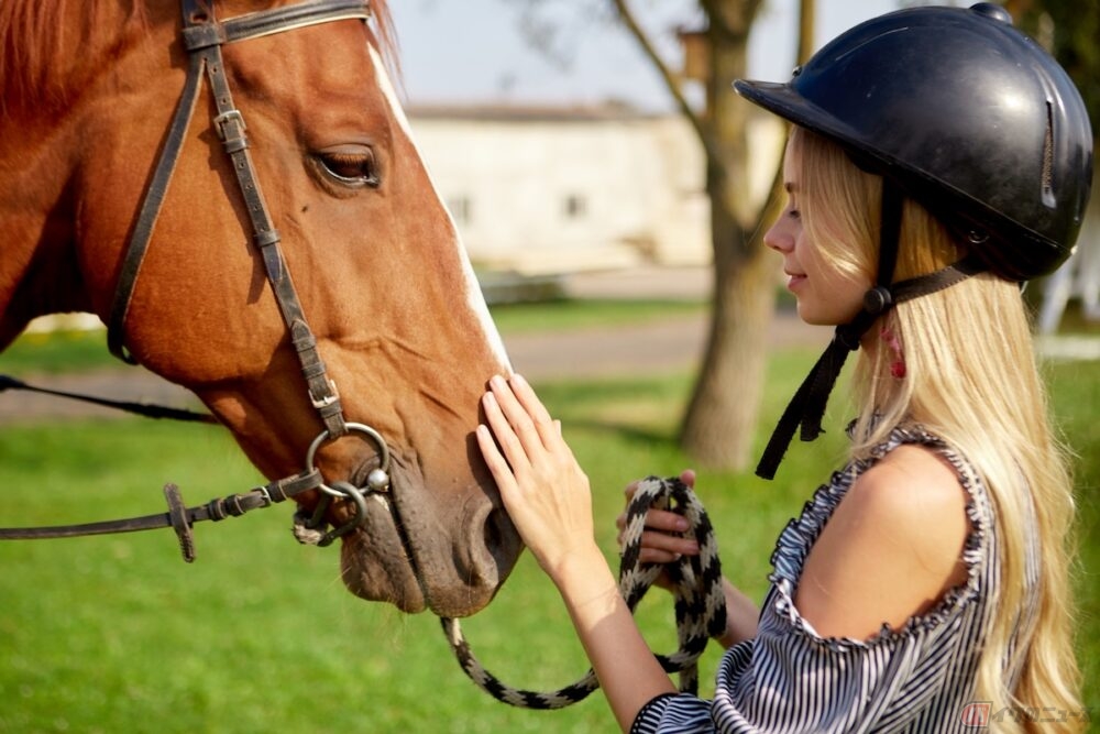 ヘルメットの着用は、道路交通法には馬に関する明記はない
