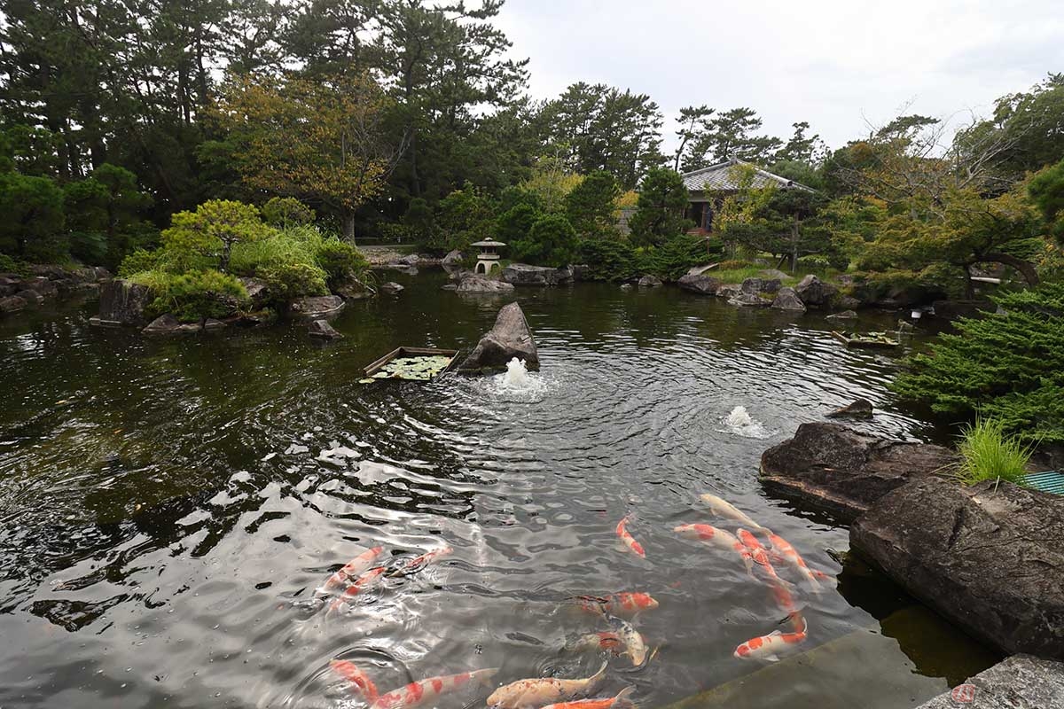 「御用邸付属邸」の雰囲気を残した、池や滝のある日本庭園。皇室ゆかりの「茶室 一景庵」では抹茶などがいただける