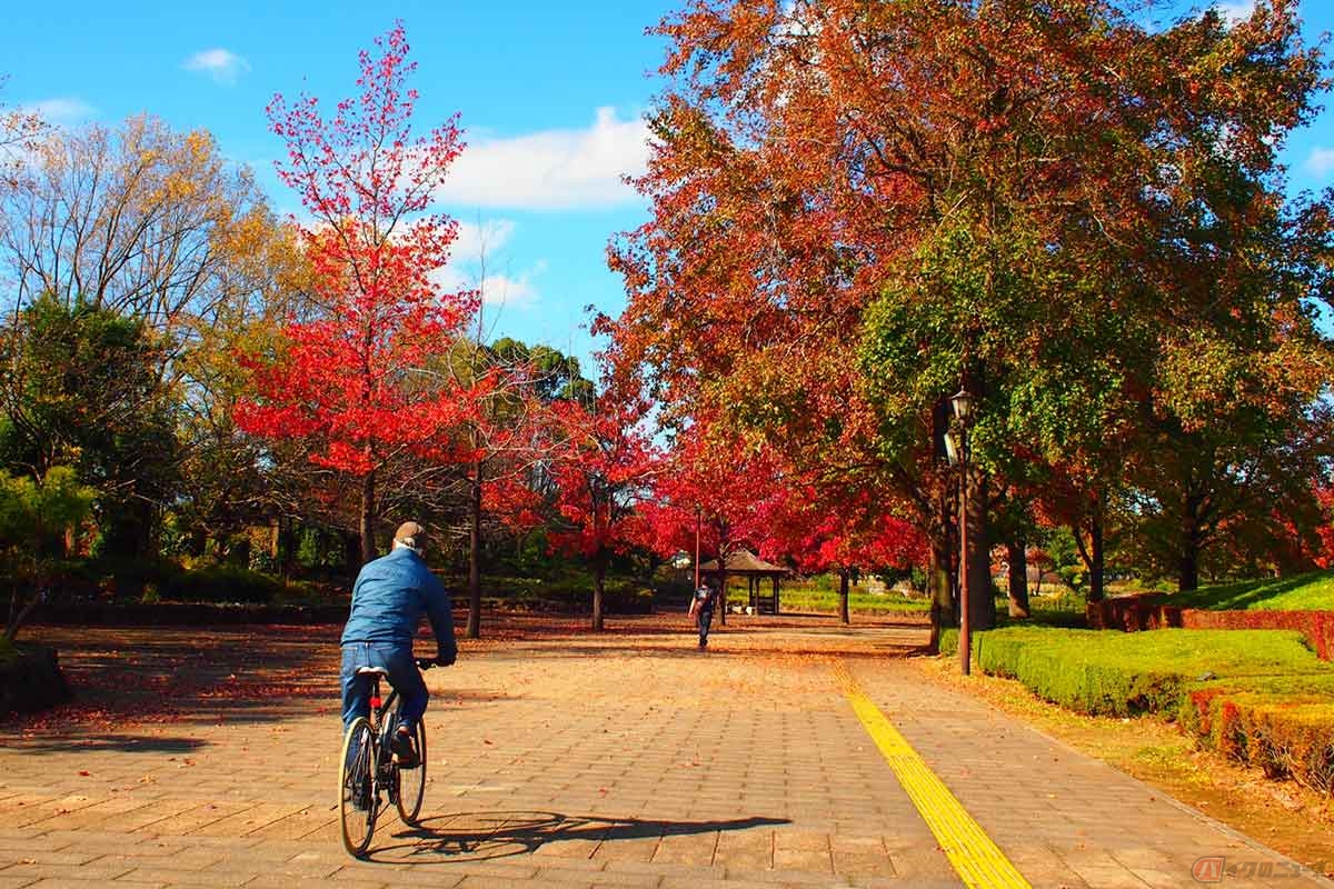秋はサイクリングの季節。はじめるとしたらどんな自転車で漕ぎ出せば良い？