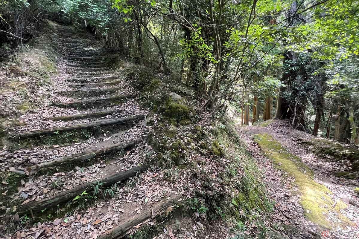 道は階段もあり、思ったよりも荒れておらず歩きやすかったが、苔も生えているので滑らないように注意