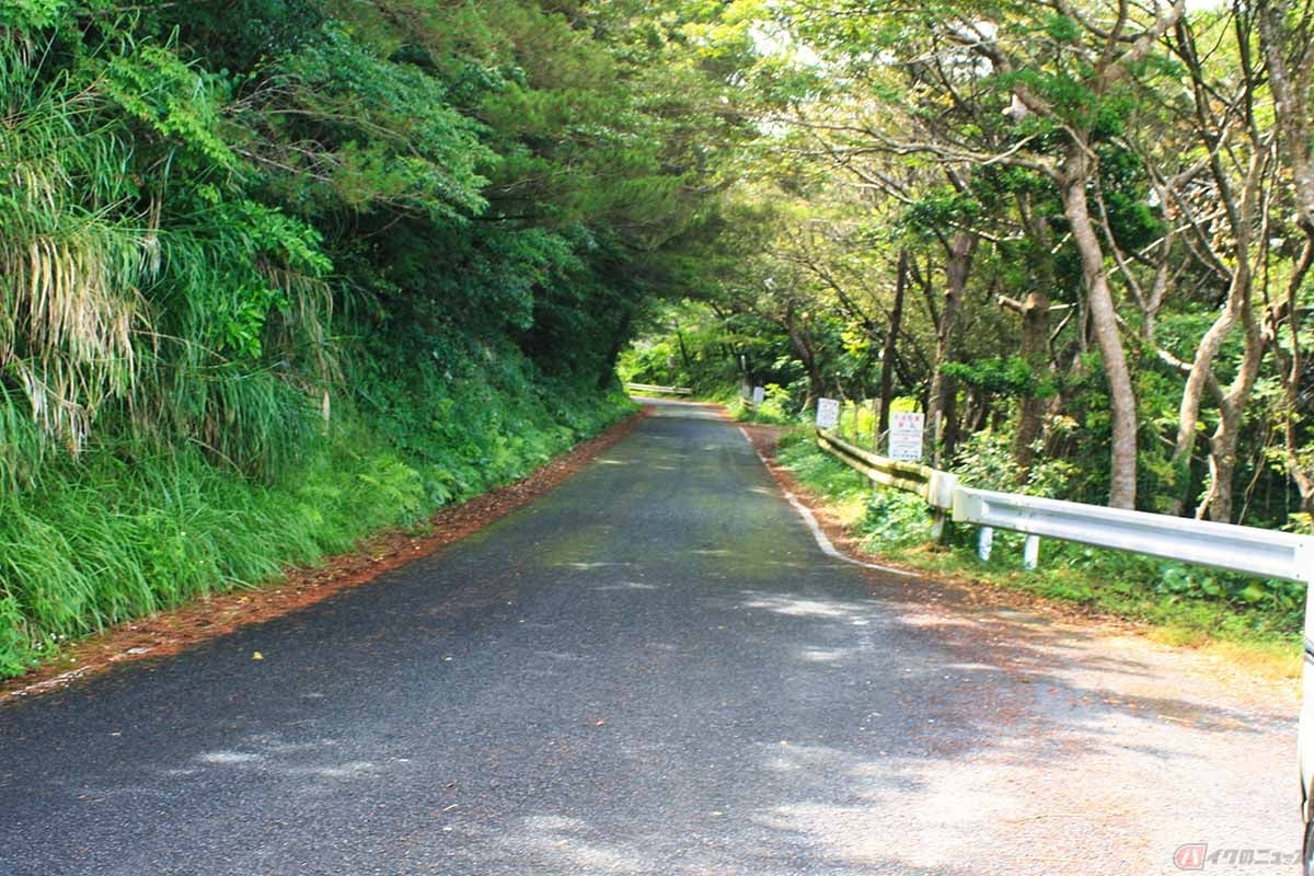 狭い道で後続に道を譲る際は左ウィンカーを活用する