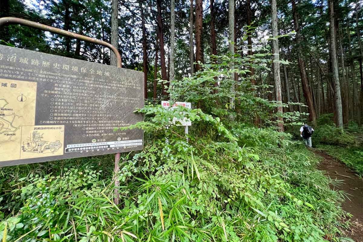 東京都の歴史環境保全地域に指定され、歩きやすい歩道が整備されていた