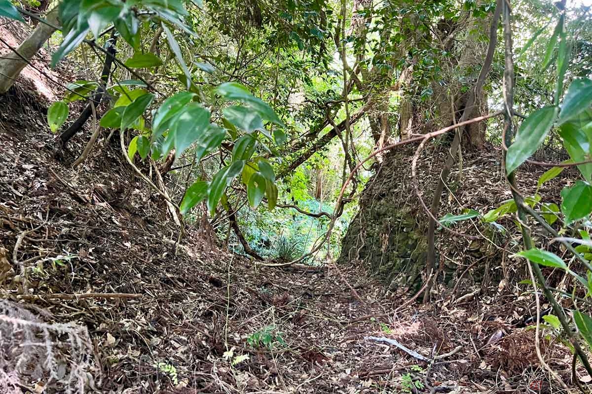 鳥居の手前の右手を見ると、人工的にえぐれた空堀らしき跡を発見