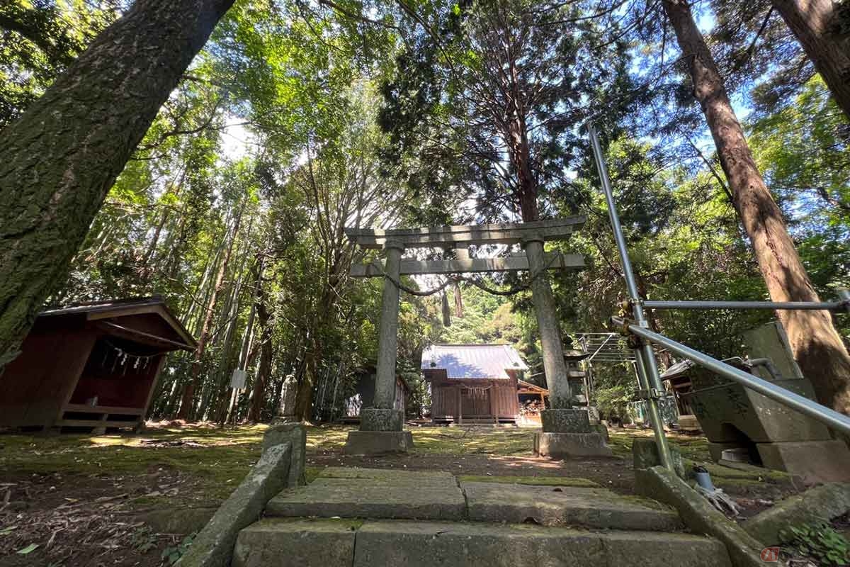 昭和34年製の鳥居の先には拝殿、水神宮、稲荷が祀られている