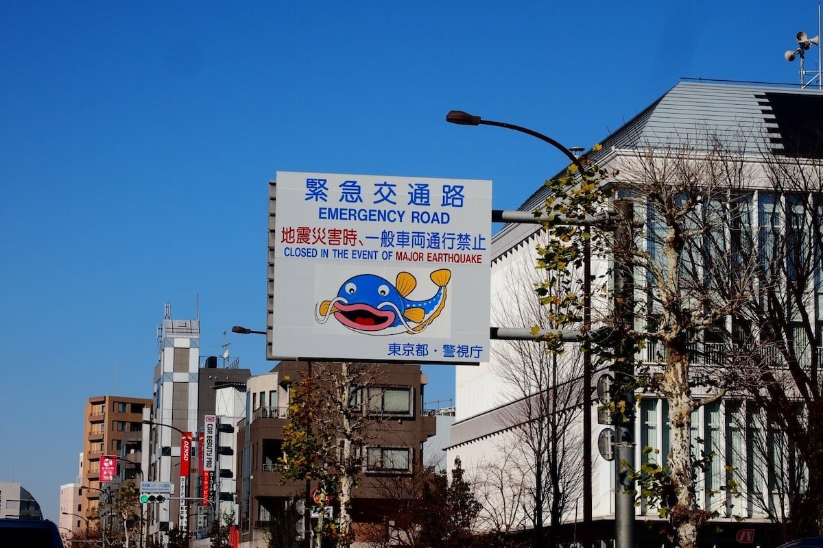 ナマズは日本民謡では「物いう魚」と記されており、災害が起こる前に人間に警告を発するとされている