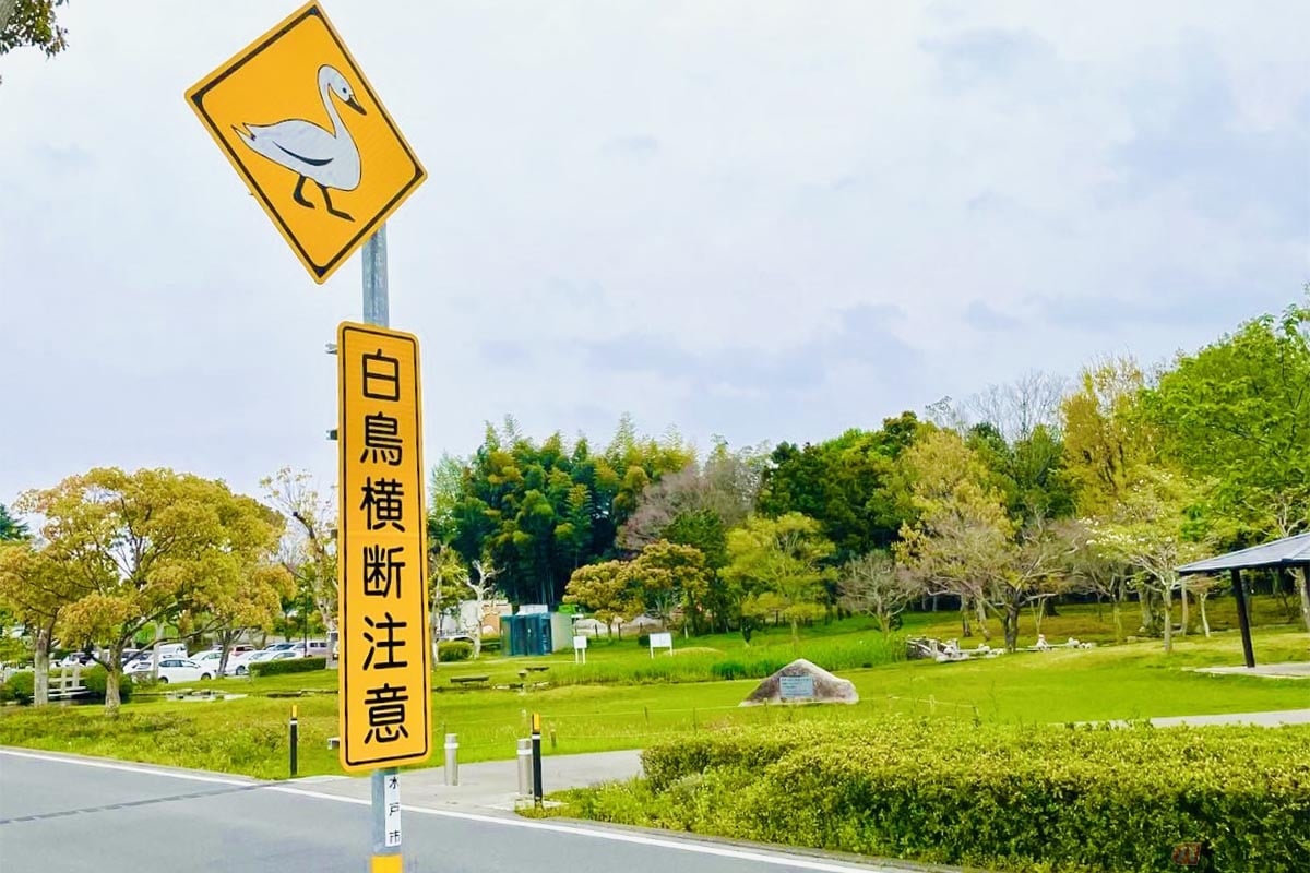 バイクで動物と衝突してしまった場合は、まず警察に連絡しなければならない