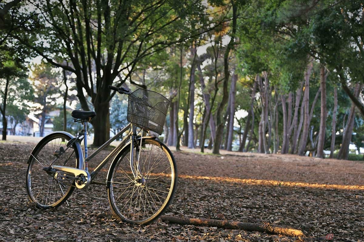 大人であれば誰でも自転車に乗れるとは限らない