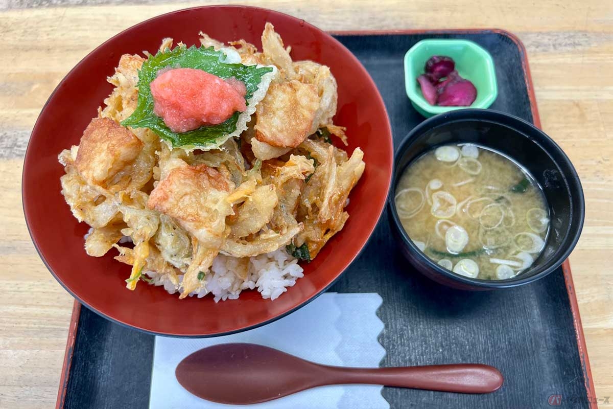 小田原厚木道路「小田原PA」（下り）でいただいた「小田原の蒲鉾としらすのかき揚げ丼」には、蒲鉾やしらすなどの食材を使ったかき揚げの上に「梅おろし」が添えられていた。みそ汁と漬物付き