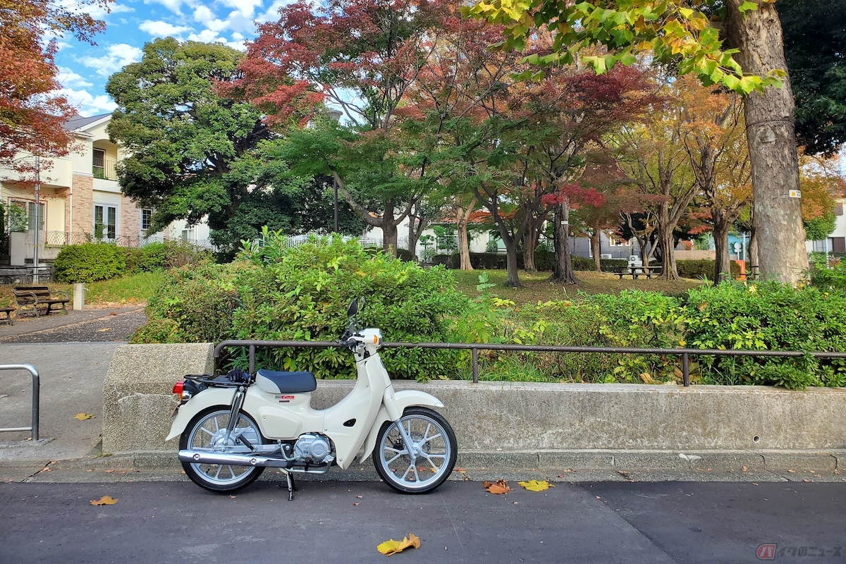 「丘の上のパン屋」からバイクで5分ほどの距離にある「楓公園」に移動して、パンを食べました