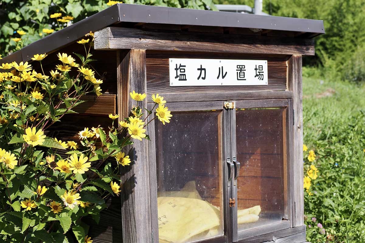凍結防止剤が撒かれるタイミングは、路面に雪が積もった時だけでなく、降雪が予想されている場合や、気温の低下で路面が凍結するおそれがある場合