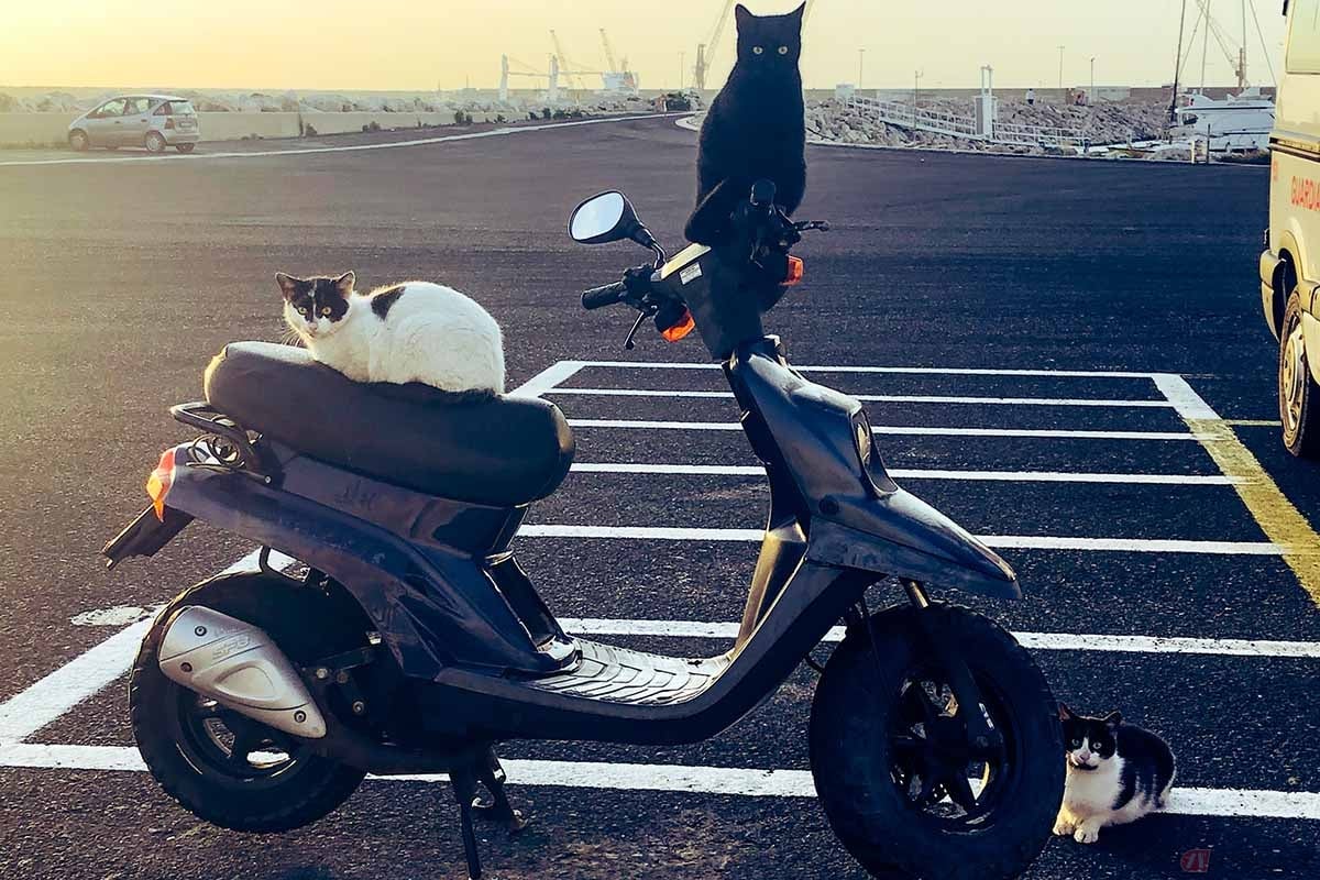 バイクは車体サイズに合った駐車枠に駐車する