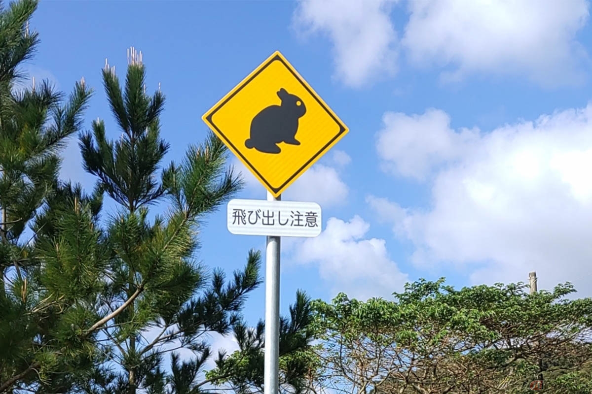 奄美大島に設置されている「アマミノクロウサギ」イラストの「動物が飛び出すおそれあり」標識