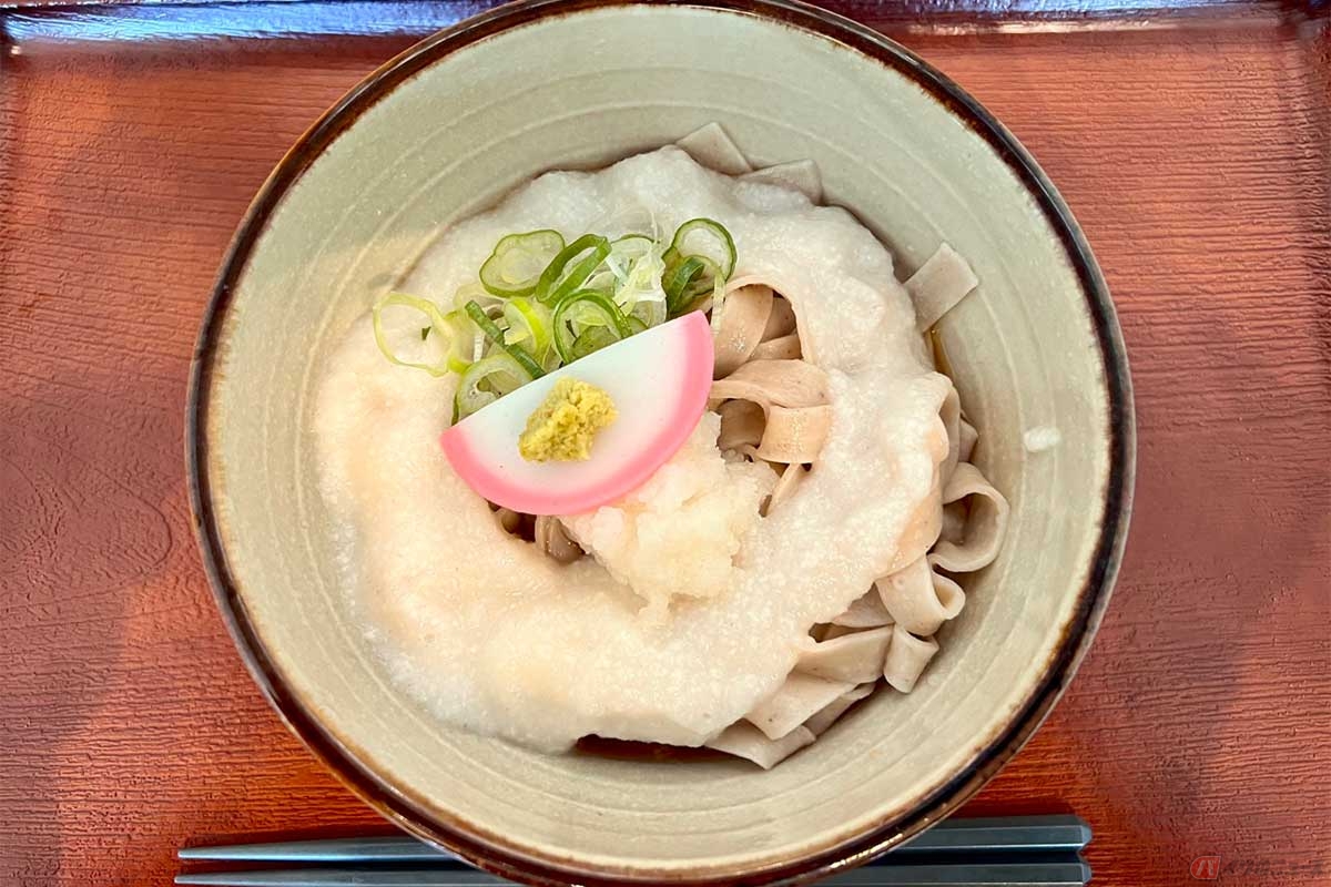 「道の駅　藤川宿」でいただく「ぶっかけとろろきしめん」（780円）。主役のむらさぎ麦の麺を覆い隠すほど大量のとろろがかけられている