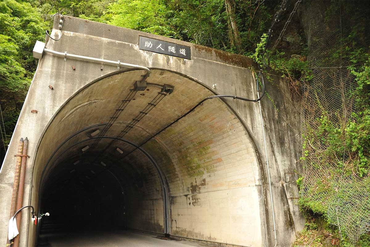 【助人隧道】トンネル南坑口（新宮側）から電源ケーブルの敷設を見る。トンネル天井にあったケーブルが、通行車両と接触する高さに移設され、それを通過車両がひっかけたと見られるが──