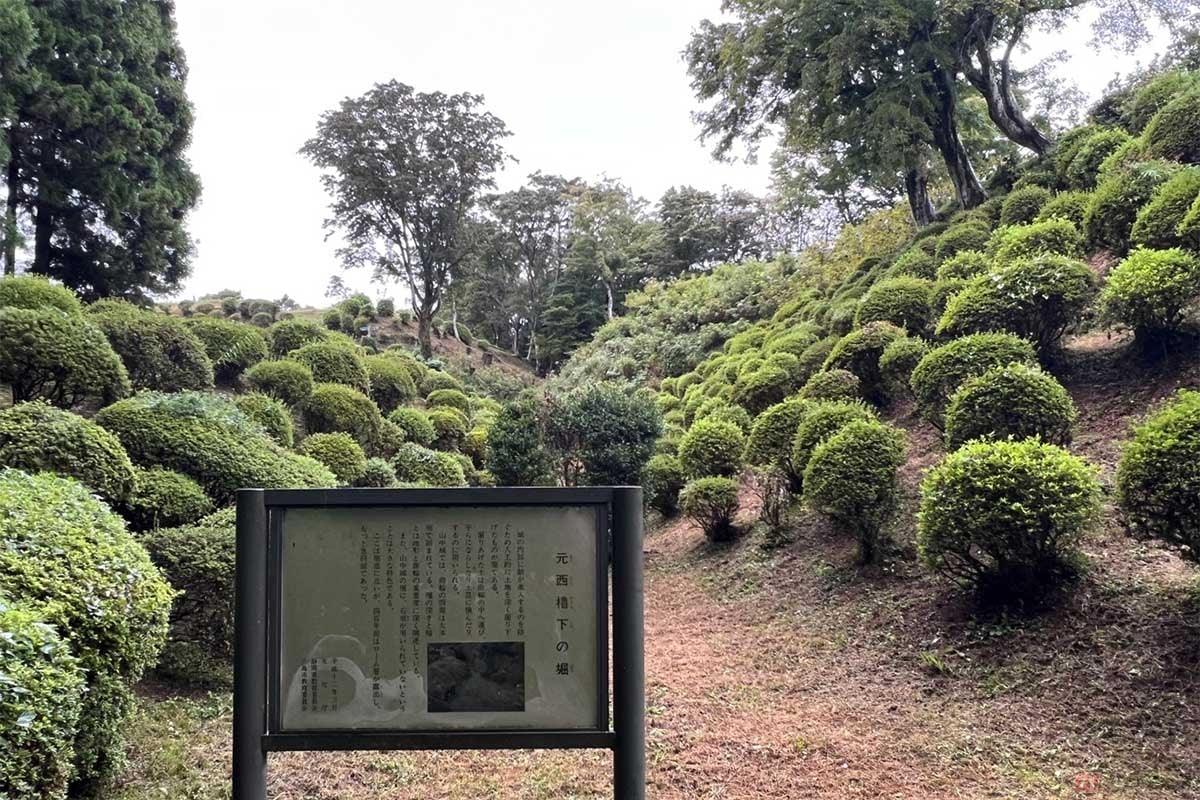 「元西櫓下(もとにしやぐらした)の堀」は、400年前はローム層が露出して今よりもさらに急斜面だったようだ。石垣を使わない高度な技術の堀