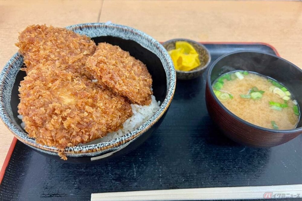 「松代PA」（上り）で食した甘辛味の「タレカツ丼」（930円）。タレが染み込んだカツが3枚乗っている。新潟発祥のソウルフードとも呼ばれているが、ここ長野県のPAでも味わうことができた