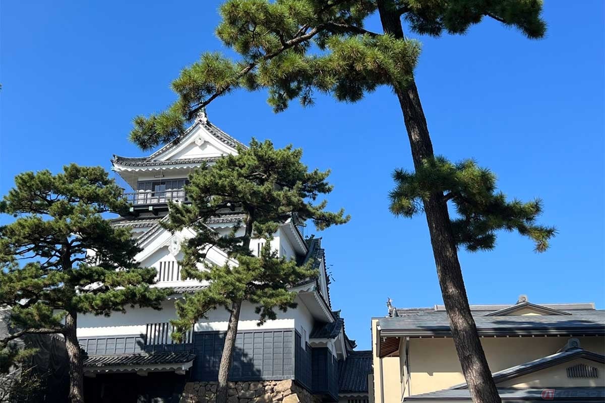 残念ながら「岡崎城」自体も工事中で中に入ることはできなかったが、外から眺める天守閣も見事