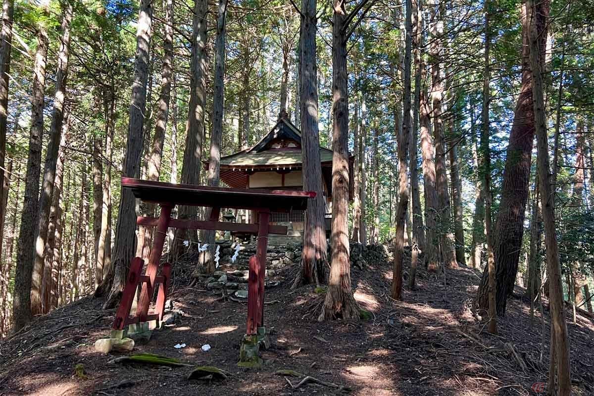 しばらく歩いた先に天満宮(天神社)が見えてきた。この裏に続く尾根の向こうに「雨鳴城跡」がある