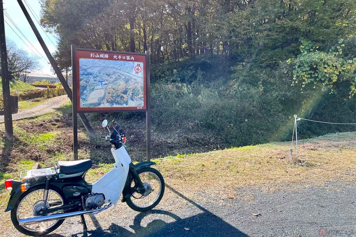 総面積約8ヘクタールという大規模な「杉山城跡」を訪れた。駐車場の先に見える森も城内という、スケールの大きい山城