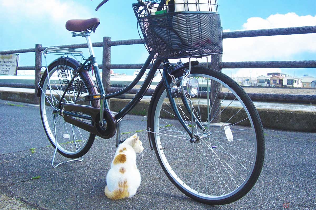 普段の自転車、格好で、いつもと違う道を進んでみる
