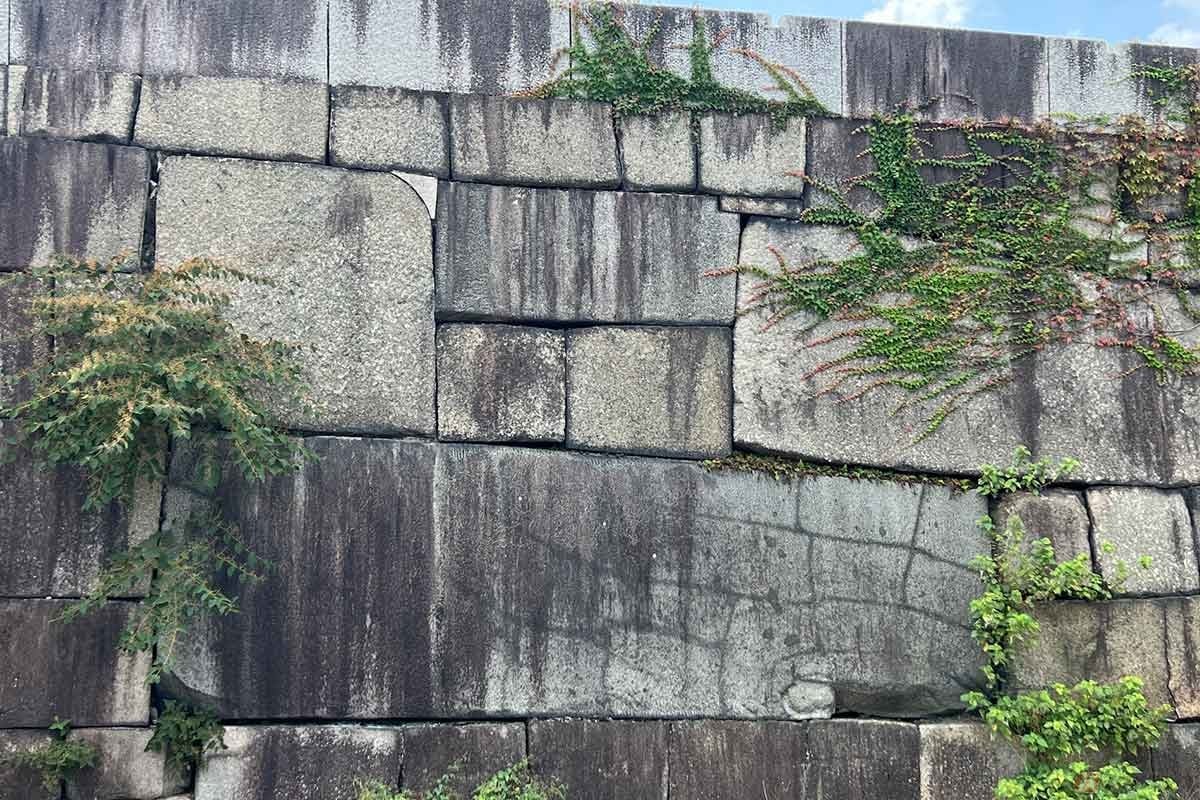 「極楽橋」を渡ると見えてくるのが「山里口門跡」。「切込接ぎ(きりこみはぎ)」と呼ばれる、石を直方体に加工してから積む手法の巨大な石垣が見事! 直角に曲がる「枡形虎口(ますがたこぐち)」を歩く