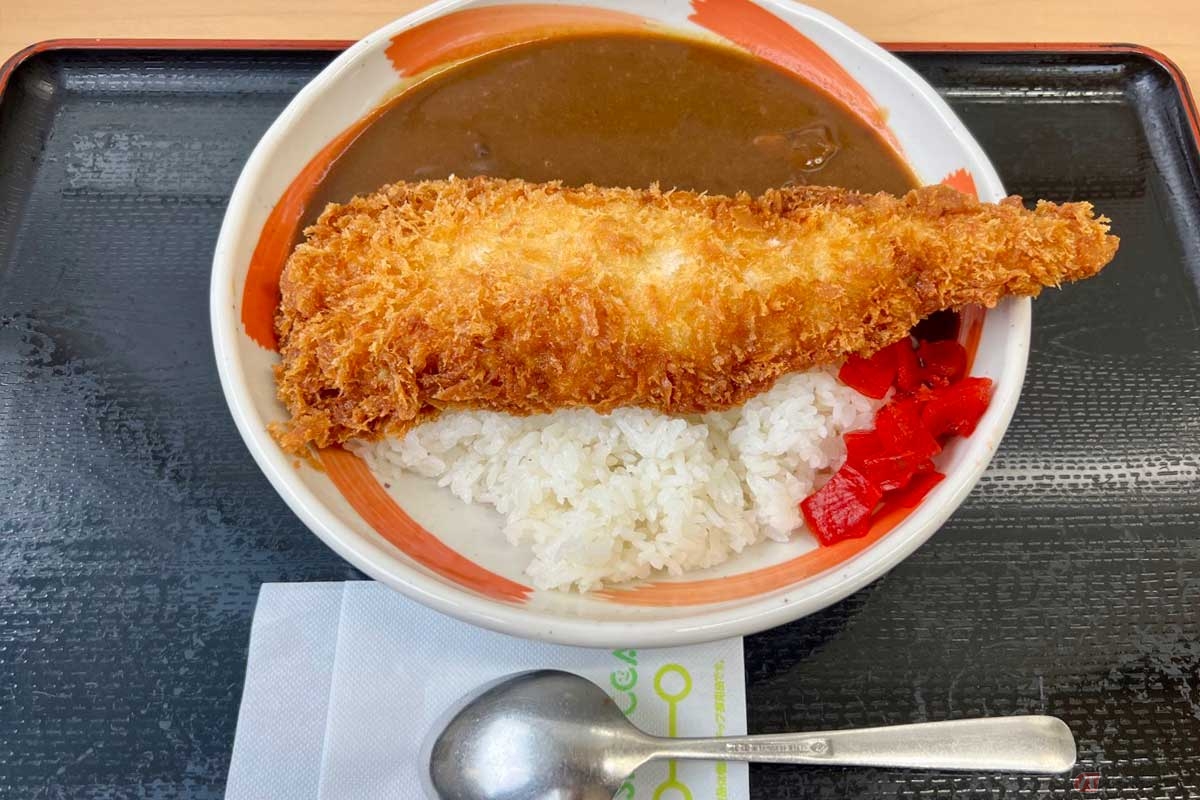 常磐道「美野里PA」（下り）の「たらカツカレー」（1200円）は、ビッグサイズのたらカツをカレーライスに乗せたインパクト「大」なPA飯だった