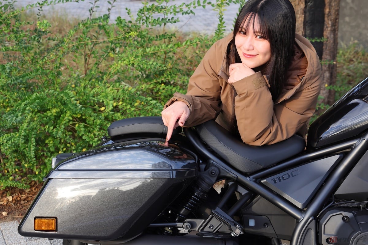 リアタイヤの両サイドにはサイドバッグが標準装備