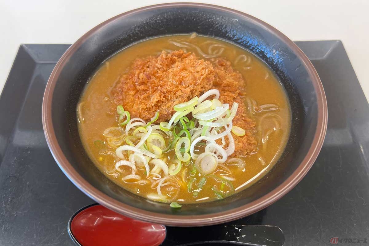 東関道「酒々井PA」(下り)で以前から気になっていたPA飯、「カツカレーそば」(950円)を実食。見た目も味も、その名の通り