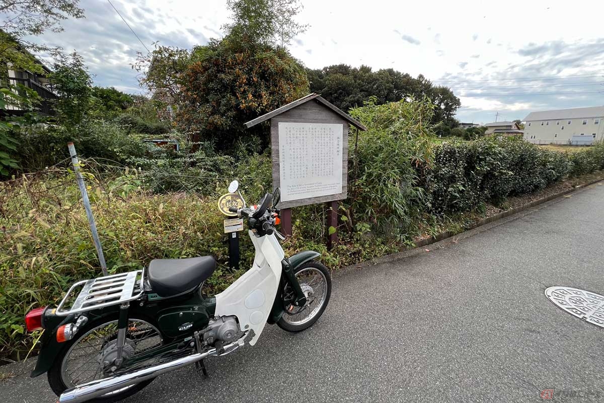 今川義元の家臣、瀬名氏俊（せなうじとし）の約200名が先発隊として着陣した跡地「瀬名陣所跡（せなじんしょあと）」。当時のトチの木林から竹林へ変わった際、地元の人からは「セナ薮」、「センノ藪」と呼ばれ偲ばれていたと言う