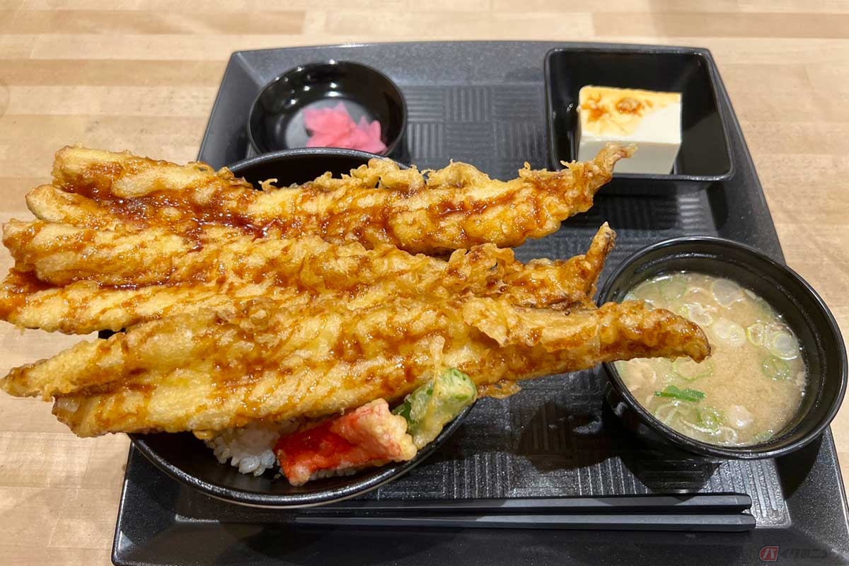 首都高「市川PA」の期間限定メニュー「はみ出しあなご天丼」（1300円）は、器とのバランスが強烈で視界がバグった感覚を起こさせる。味も良く飽きずに完食！