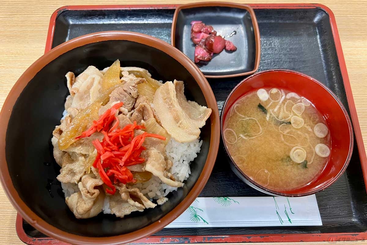 夜の東名高速「港北PA」(上り)で食した「港北自家製肉丼」(860円)は、見た目は牛丼だが味はあっさりとして食べやすい。味噌汁と少量の漬物がセット