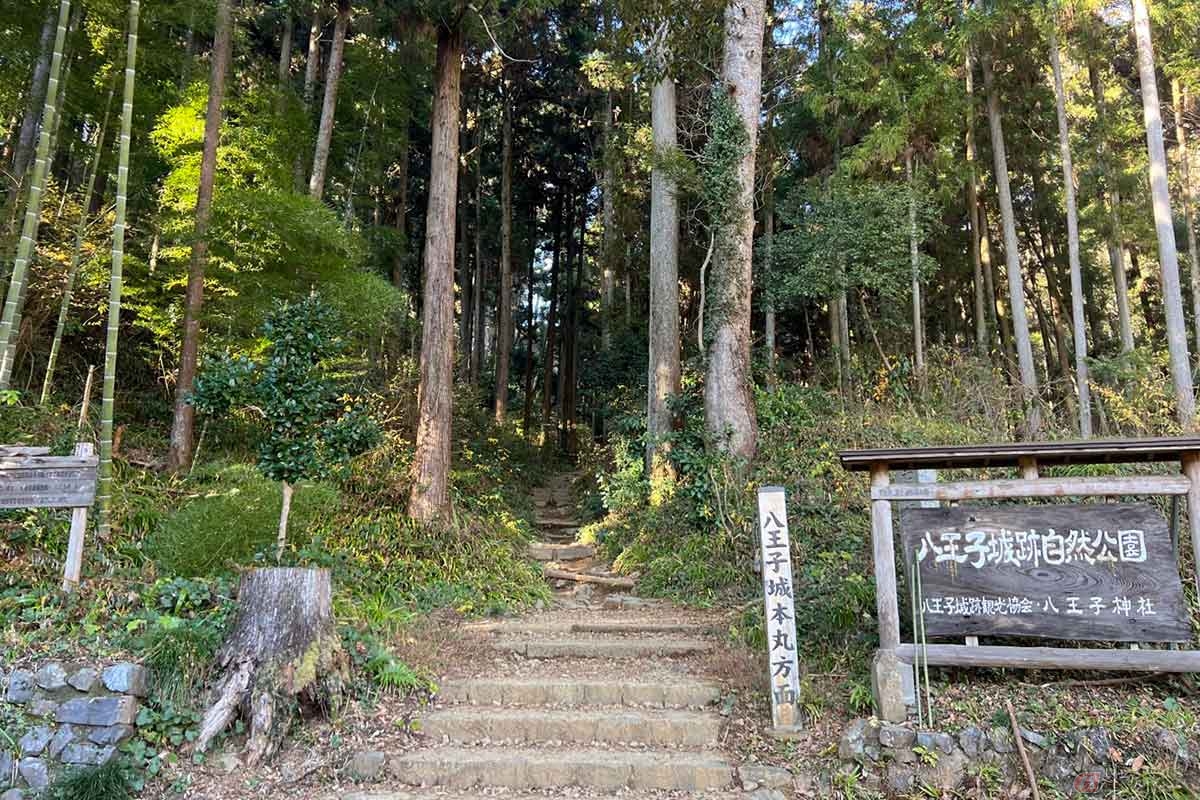 長袖長ズボンを着用し、ハイキングに合う靴を履いていざ「本丸」へ。上りも下りもかなりの急勾配。足元に注意しながら、息を切らさないように歩いた