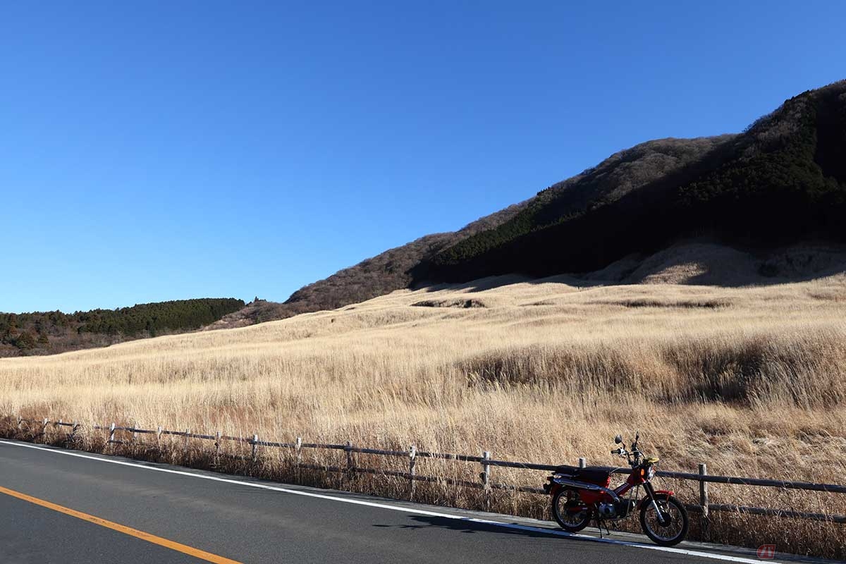「お魚料理 うおせい」への道中、箱根町の北側にある仙石原には広大なすすきの草原があり、秋には美しい景色を見ることができる
