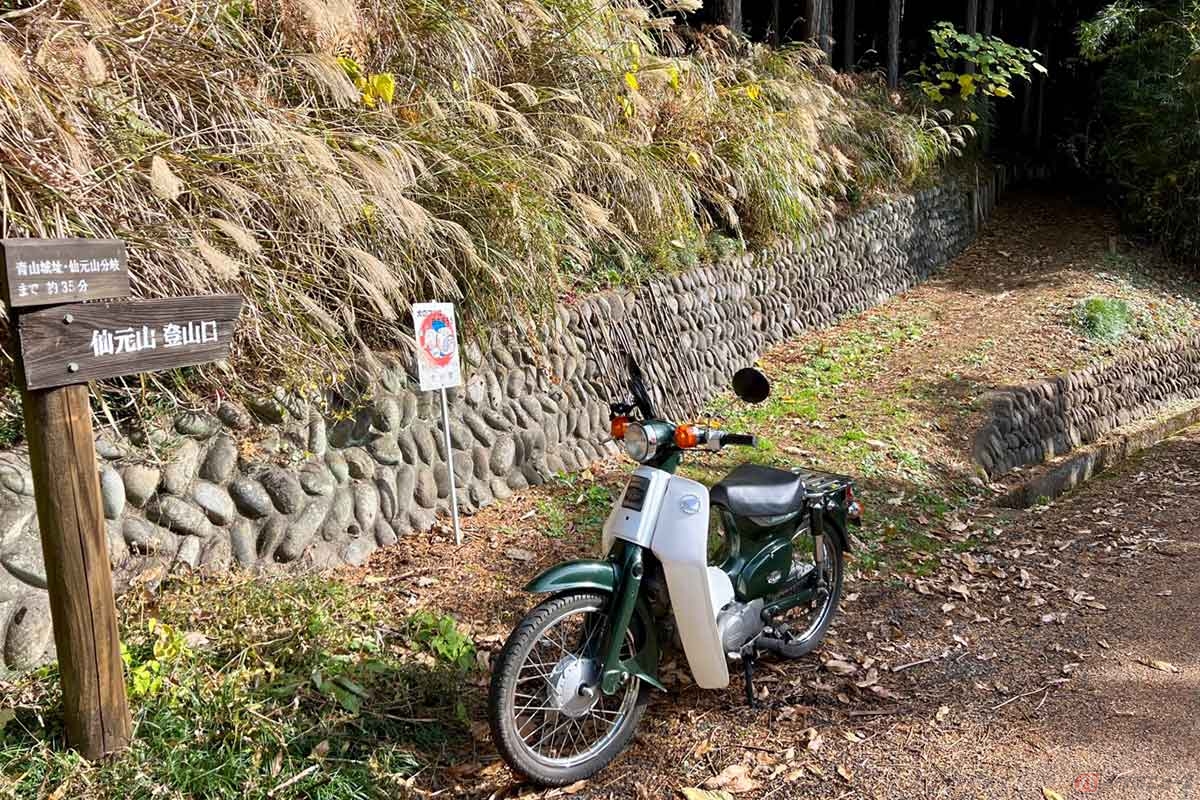 仙元山の登山口から徒歩30分ほどで「青山城跡」に到着する。歩きやすいとはいえ、ハイキングに適した靴などがあると便利